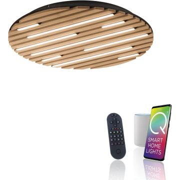 Paul Neuhaus Q-AKUSTIK 6421-79 Stropní lampa 1x38W/LED 2700-5000k 3360lm ip20