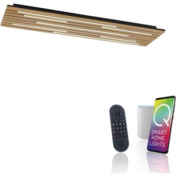 Paul Neuhaus Q-AKUSTIK 6422-79 Stropní lampa 1x48W/LED 2700-5000k 4440lm ip20