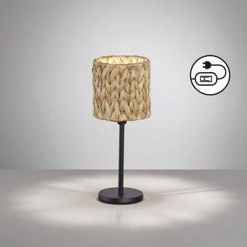 Fischer&Honsel Hyazinthe 50678 Stolní lampa 1x25W/E14 IP20