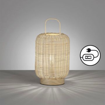 Fischer&Honsel Nature 50738 Stolní lampa 1x25W/E14 IP20