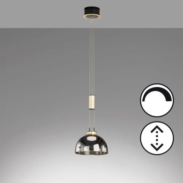 Fischer&Honsel Avignon 61013 Závěsná lampa 1x9W/LED 2700K 1000 lm IP20