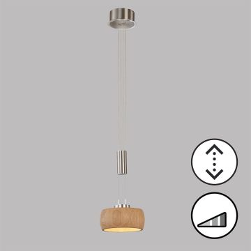 Fischer&Honsel SHINE-WOOD 61075 Závěsná lampa 1x9W/LED 2700K 950 lm IP20