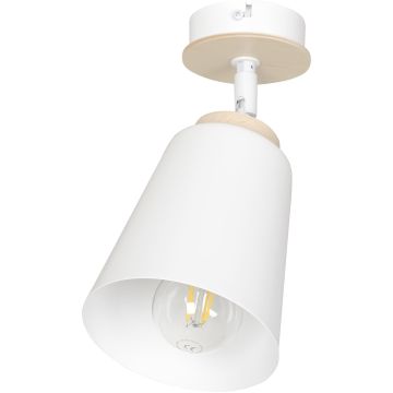 Emibig ATLAS 724/1 Bodové světlo 1x60W/E27 IP20