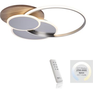 Paul Neuhaus PALMA 8328-79 Stropní lampa 1x55W/LED 2700-5000k 6000lm ip20