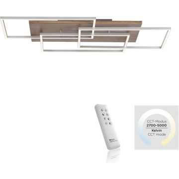 Paul Neuhaus PALMA 8330-79 Stropní lampa 3x40W/LED ip20