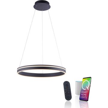 Paul Neuhaus Q-VITO 8411-13 Závěsná lampa 1x44W/LED 2700-5000k 4550lm ip20