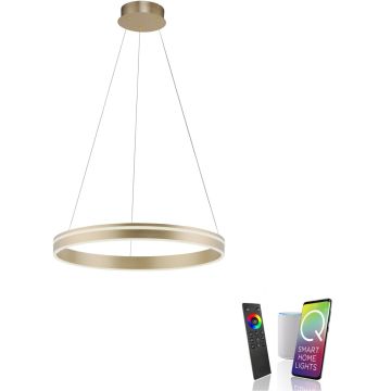 Paul Neuhaus Q-VITO 8411-60 Závěsná lampa 1x44W/LED 2700-5000k 4550lm ip20
