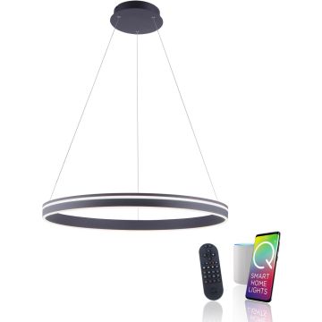 Paul Neuhaus Q-VITO 8412-13 Závěsná lampa 1x65W/LED 2700-5000k 7000lm ip20