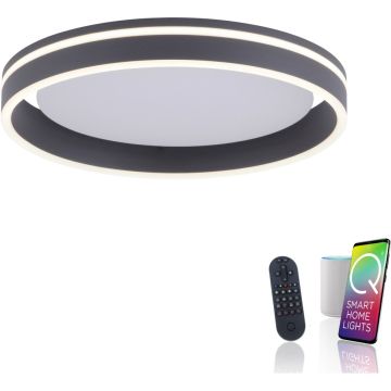 Paul Neuhaus Q-VITO 8414-13 Stropní lampa 1x33W/LED 2700-5000k 3250lm ip20