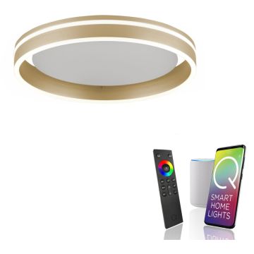 Paul Neuhaus Q-VITO 8414-60 Stropní lampa 1x33W/LED 2700-5000k 3250lm ip20