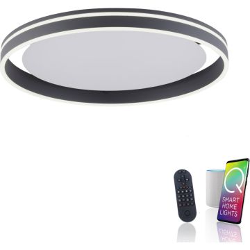 Paul Neuhaus Q-VITO 8416-13 Stropní lampa 1x44W/LED 2700-5000k 4570lm ip20