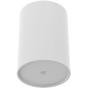Nowodvorski CAMELEON CANOPY E 8551 Růžice IP20