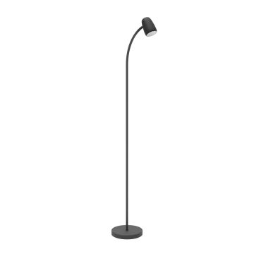 Eglo CARLO 902171 Stojací lampa 1x18W/E14 ip20