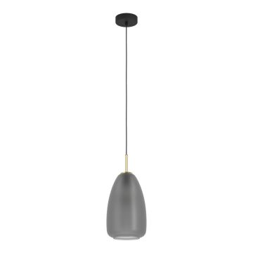 Eglo ALOBRASE 900506 Závěsná lampa 1x40W/E27 IP20