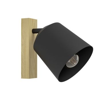 Eglo COTORRO 900434 Nástěnná lampa 1x25W/E27 IP20