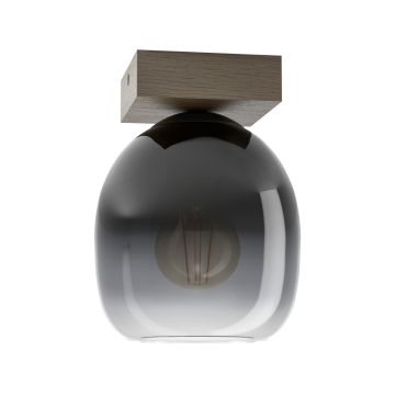 Eglo FILAGO 900825 Stropní lampa 1x40W/E27 IP20