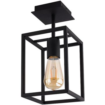 Nowodvorski CRATE I 9045 Stropní lampa 1x60W/E27 IP20