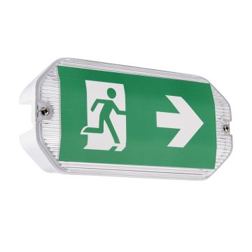 Endon SIGHT ECO 91358 Nouzové osvětlení 3W/LED 6500K 220LM IP65