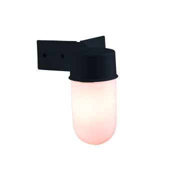 Endon WARE EL-40088 Nástěnná lampa 40W/E27 IP44