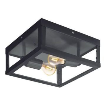 Eglo ALAMONTE 1 94832 Stropní lampa 2x60W/E27 IP44