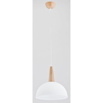 Alfa ANJA 9626 Závěsná lampa 1x60W/E27