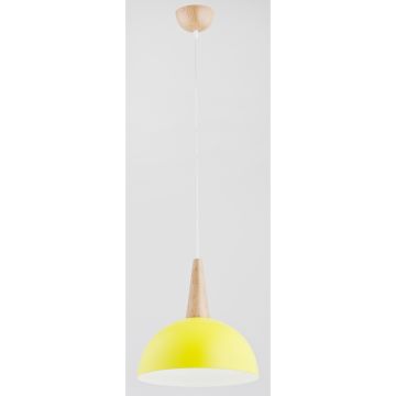 Alfa ANJA 9633 Závěsná lampa 1x60W/E27