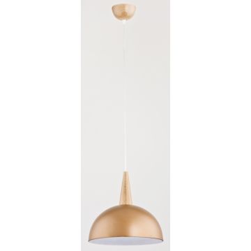 Alfa ANJA 9649 Závěsná lampa 1x60W/E27