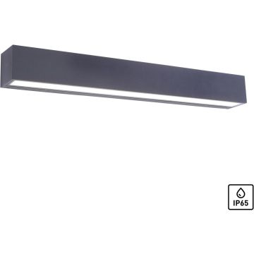 Paul Neuhaus ROBERT 9676-13 Nástěnná lampa 1x36W/LED 3000k 4690lm ip65