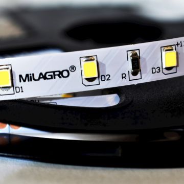 Milagro LED STRIP ML4747 LED pás 24W/500cm IP20