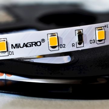 Milagro LED STRIP ML4749 LED pás 24W/500cm IP20