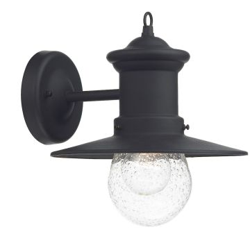 Dar Lighting SEDGEWICK SED1522 Nástěnná lampa 1x60W/E27 IP44