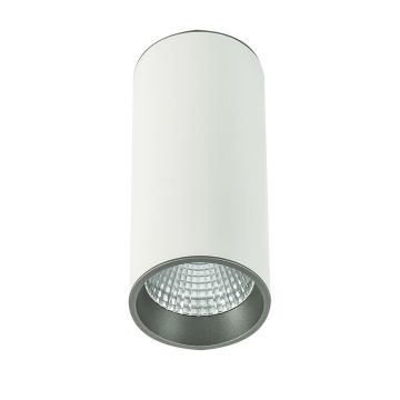 Italux MOLDES SLC7392/12W 4000K WH+GR Nástěnné osvětlení 1x12W/LED 820LM IP20
