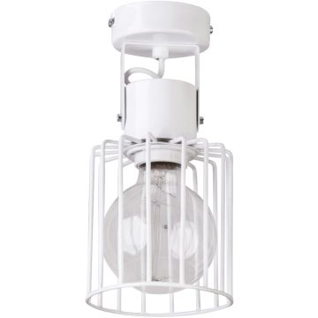 Sigma Lighting LUTO 31146 Bodové světlo 1x60W/E27