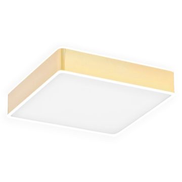 Argon ATLANTIS 4051 Stropní lampa 1x32W/LED 3000K 3900LM IP20