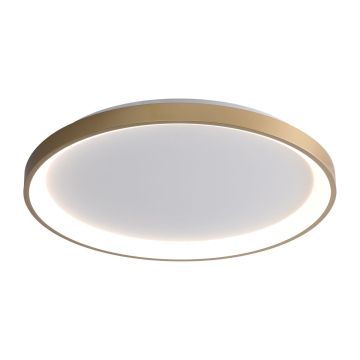 Italux Raden CLN-3151-M-GD Stropní lampa 1x50W/LED 3000K|4000K|6000K 2900lm IP20