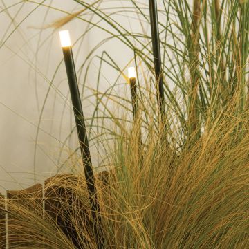Zambelis SPIKE LIGHT E329 Zahradní reflektor 0.5W/led 2700Κ 58lm IP65