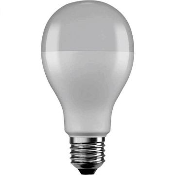 Eko-Light BULB EKZOS237 Žárovka 1x19W/E27 3000K 2451LM