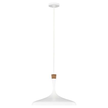 Feiss DARWIN FE-DARWIN-P Závěsná lampa 1x60W/E27
