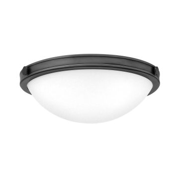 Hinkley Lighting Collier HK-COLLIER-F-S-BX Stropní lampa 2x40W/E27 IP20