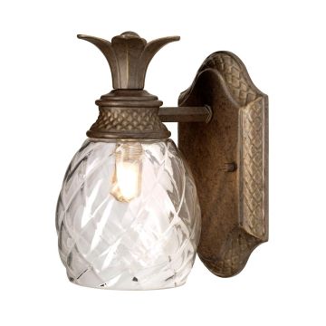 Hinkley Lighting PLANTATION HK-PLANT-BATH-PZ Nástěnná lampa 1x3,5W/G9 320LM IP44