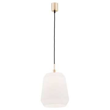 Argon IRUN 4273 Závěsná lampa 1x15W/E27 IP20