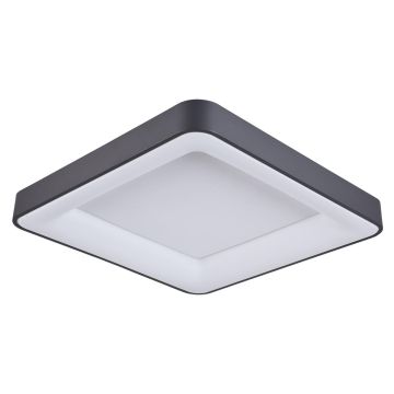 Italux GIACINTO 5304-850SQC-BK-4 Stropní lampa 1x50W/LED 4000K 2750LM IP20