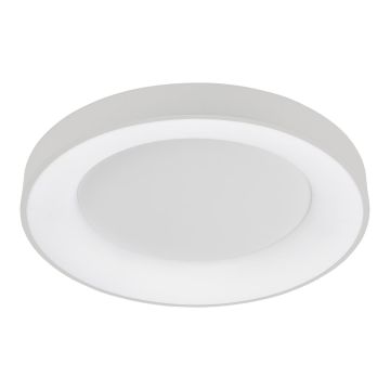 Italux GIULIA 5304-850RC-WH-4 Stropní lampa 1x50W/LED 4000K 2750LM IP20