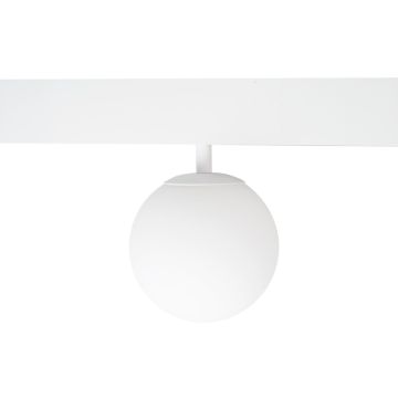 Maxlight MAX M0044Z Kolejový reflektor 1x5.4w/led 2700-5000k 334lm ip20