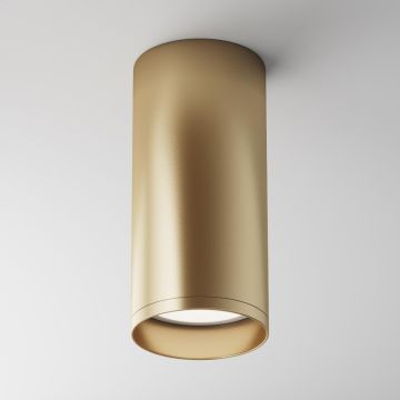 Maytoni FOCUS C010CL-01MG Nástěnné osvětlení 1x50W/GU10 IP20