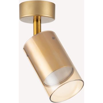 Zuma Line REN OB-2211BD-1-GLD Bodové světlo 1x50W/GU10