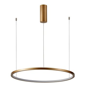 Italux Vinola PND-56135B-100RPP-GD-3KS4K-TRDIMM Závěsná lampa 1x58W/LED 3000K|4000K 4640lm IP20