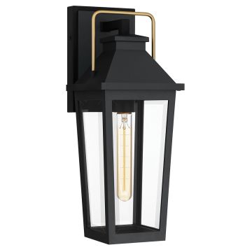 Quoizel Buckley QZ-BUCKLEY-M-MBK Nástěnná lampa 1x40W/E27 IP44