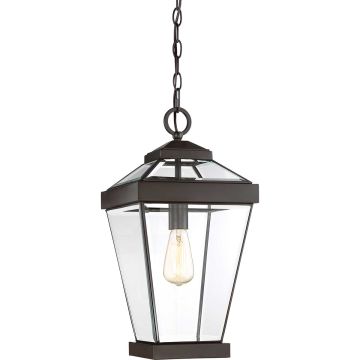 Quoizel RAVINE QZ-RAVINE8-L Závěsná lampa 1x60W/E27 IP44