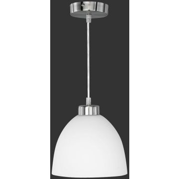 Trio DALLAS R32171007 Závěsná lampa 1x60w/e27 ip20